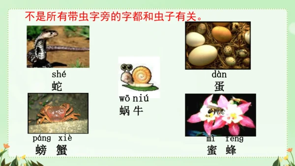 识字（二）5动物儿歌（课件）