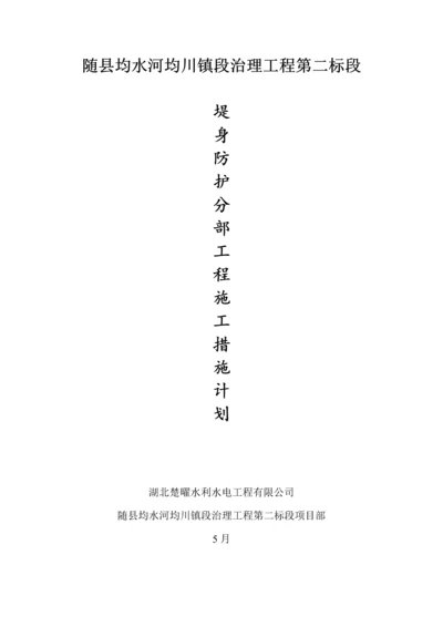 堤身防护综合施工专题方案.docx