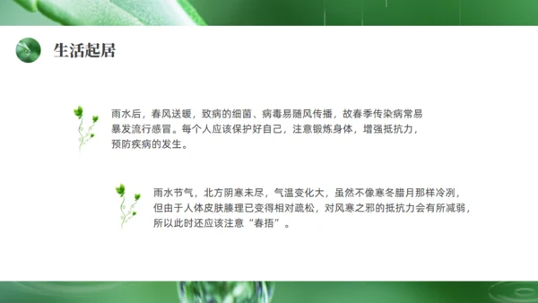 雨水绿色露水背景通用PPT模板