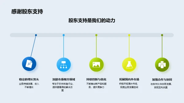 公司年度绩效回顾