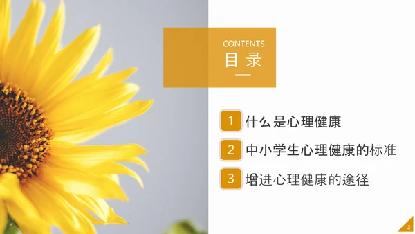 中小学生心理健康应知应会PPT模板