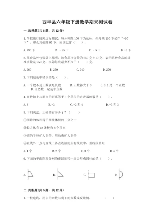 西丰县六年级下册数学期末测试卷（名师系列）.docx