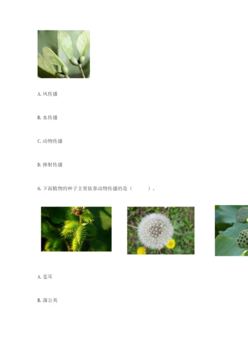 科学四年级下册第一单元《植物的生长变化》测试卷（考点精练）.docx