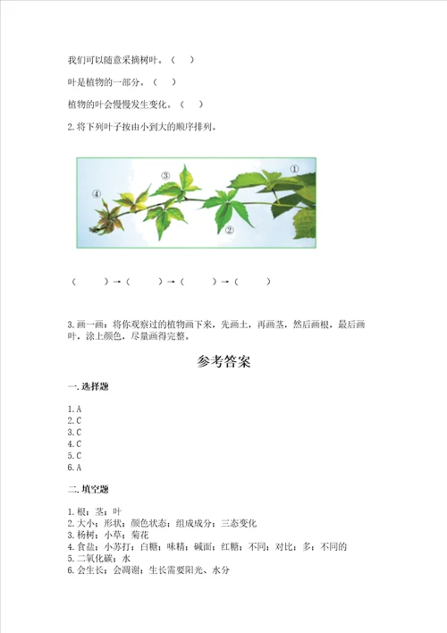 教科版科学一年级上册第一单元植物测试卷含答案a卷