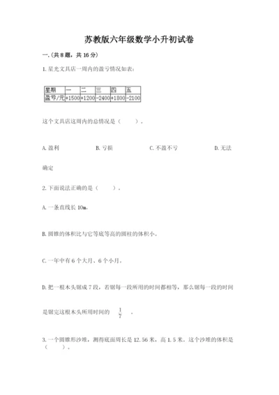 苏教版六年级数学小升初试卷带答案（满分必刷）.docx