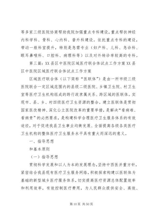 联合体试点工作方案.docx