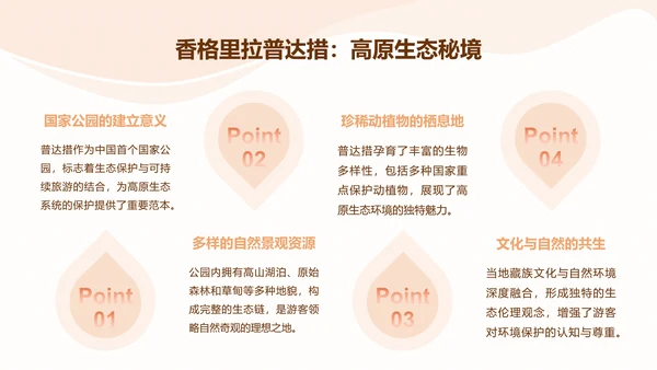 棕棕熊橙色卡通风云南旅游攻略
