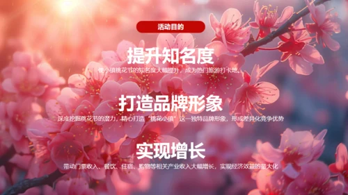 小镇桃花节策划方案通用PPT