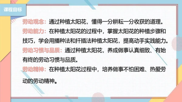 【北师大版】二年级《劳动实践指导手册》第11课《一起来种太阳花》课件