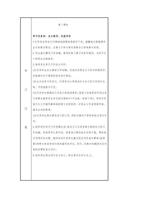 统编版三年级语文上册习作《我们眼中的缤纷世界》  课件