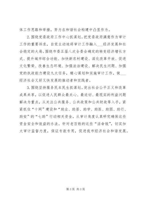 市审计局审计下一年工作计划.docx