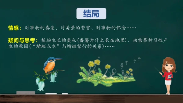 统编版语文三年级上册 第五单元习作： 我们眼中的缤纷世界课件