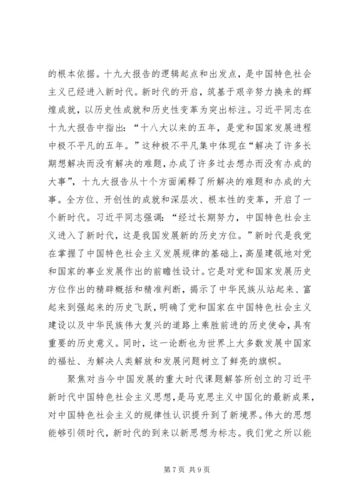 十九大精神宣讲材料.docx