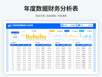 年度数据财务分析表