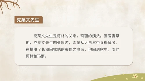 卡通《秘密花园》读书分享汇报PPT模板
