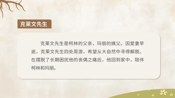 卡通《秘密花园》读书分享汇报PPT模板