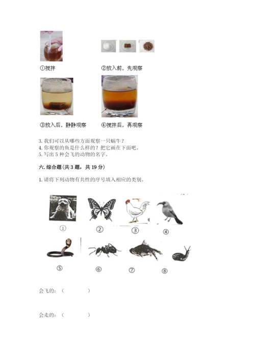 教科版一年级下册科学期末测试卷参考答案.docx