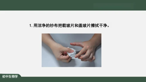 2.1.3 动物细胞 课件（共32张PPT）