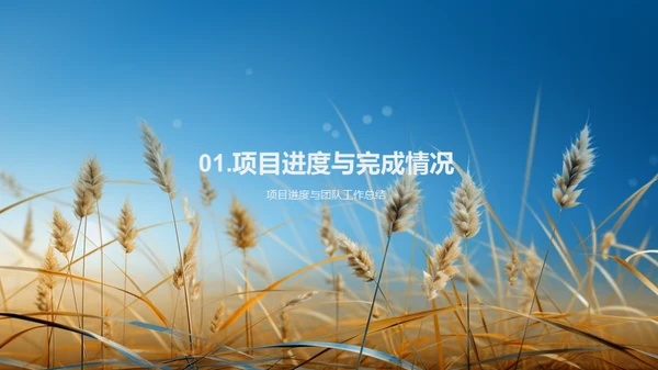 农业项目掌控全局