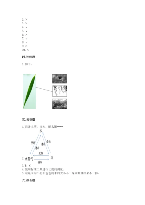 教科版一年级上册科学期末测试卷含答案（夺分金卷）.docx