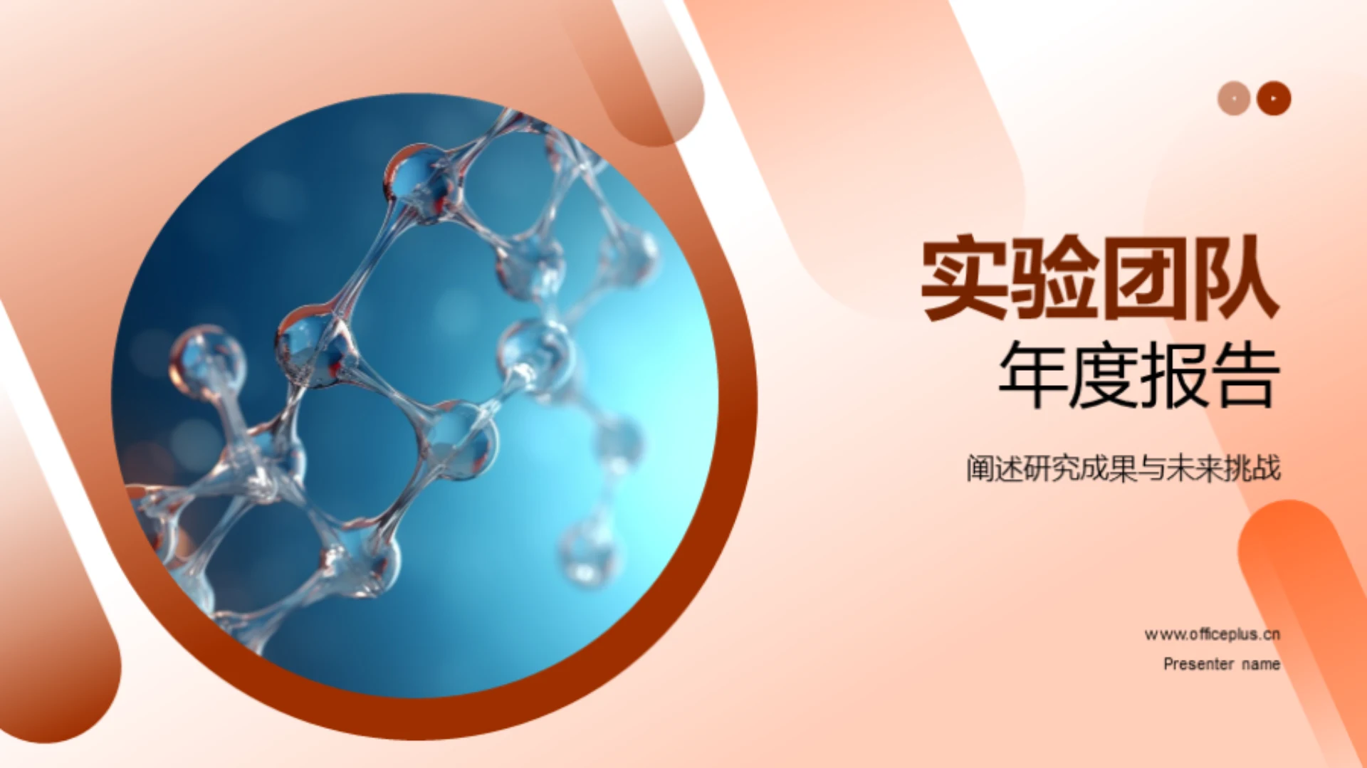 实验团队年度报告