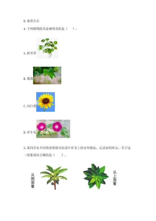 科学四年级下册第一单元植物的生长变化测试卷研优卷