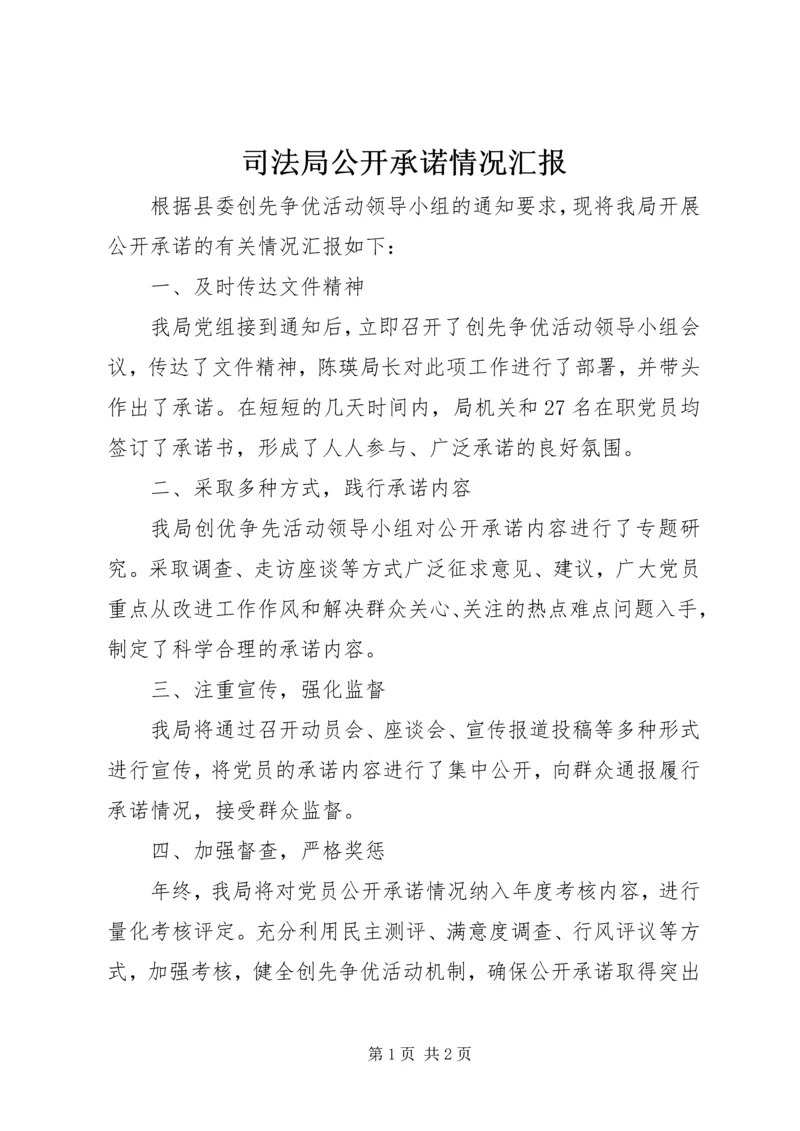 司法局公开承诺情况汇报.docx