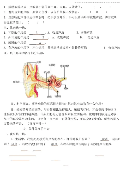 青岛版科学五年级上册总复习(经典版)精编版