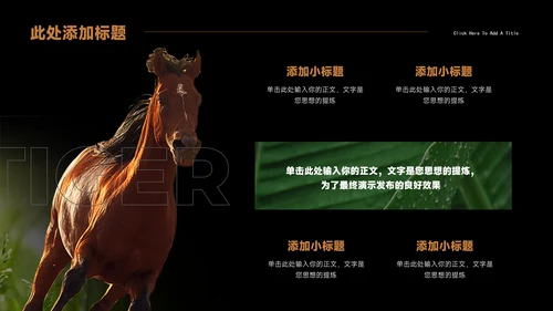 Tiger老虎通用PPT演示模板