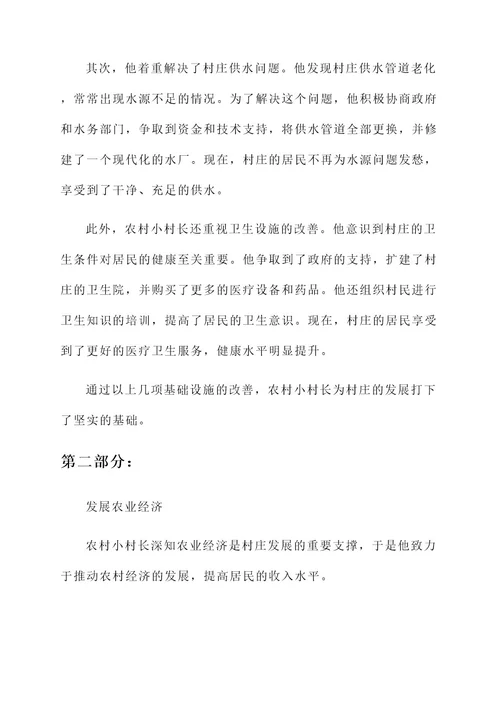 农村小村长先进事迹
