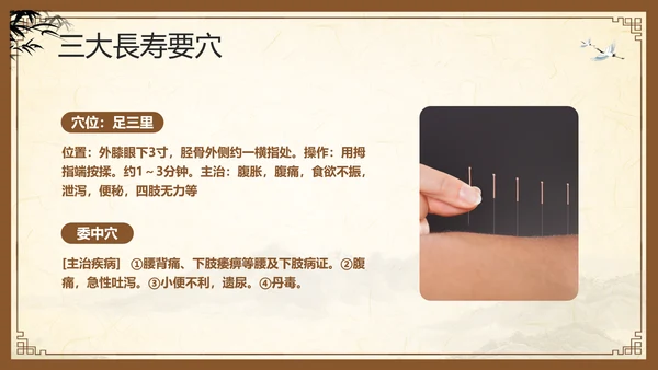 棕色复古中医经络养生PPT模板宣传PPT动态PPT