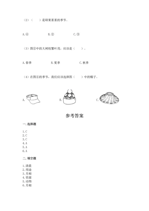 教科版二年级上册科学期末测试卷及答案解析.docx