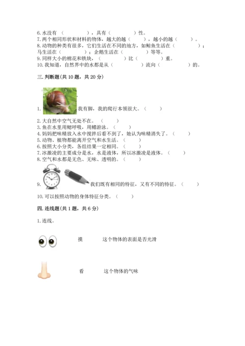 教科版一年级下册科学期末测试卷【基础题】.docx