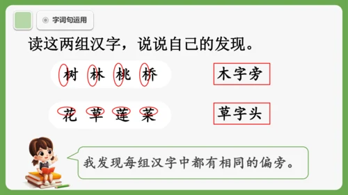 《语文园地六》课件