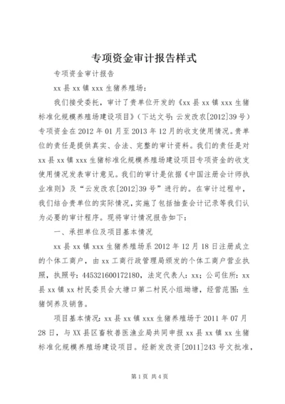 专项资金审计报告样式.docx