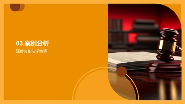 法学实践探析