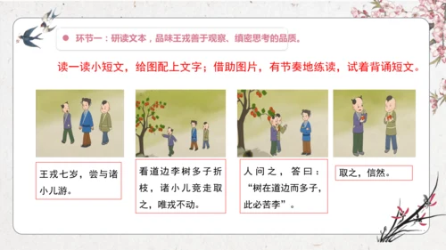 【大单元】统编版四上第八单元  第3课时 25.王戎不取道旁李   课件