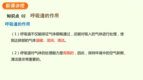 4.3.1 呼吸道对空气的处理-七年级生物下学期同步精品课件（2024人教版）(共26张PPT)