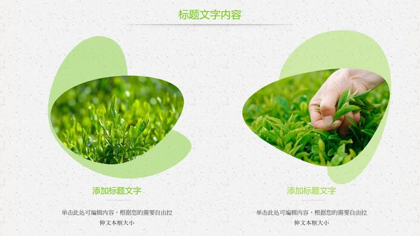 唯美绿色茶园茶文化品茶论道PPT模板
