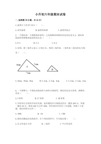 小升初六年级期末试卷（满分必刷）.docx