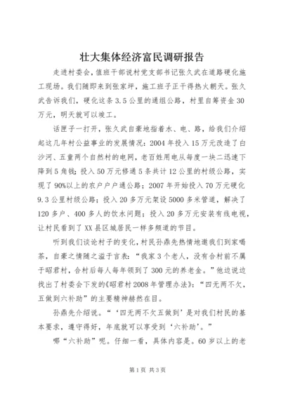 壮大集体经济富民调研报告 (2).docx