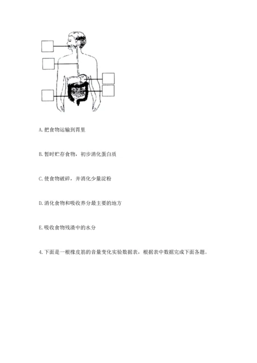 教科版科学四年级上册期末测试卷精品【基础题】.docx