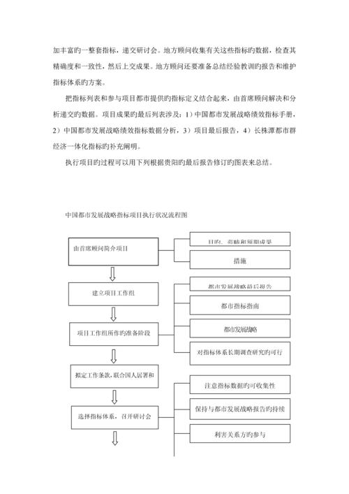 我国城市发展战略绩效指标全新体系报告.docx