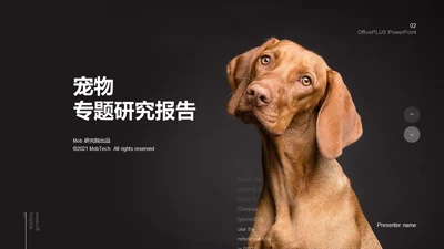 2021年宠物专题研究报告
