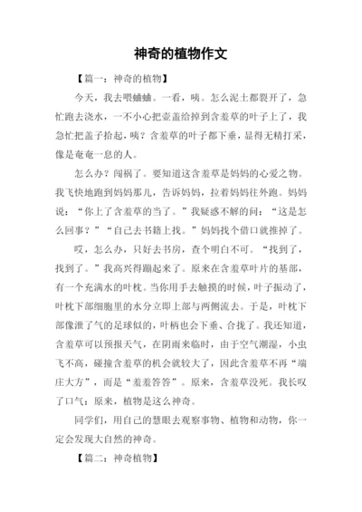 神奇的植物作文.docx