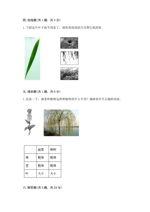 教科版小学一年级上册科学期末测试卷a4版可打印.docx