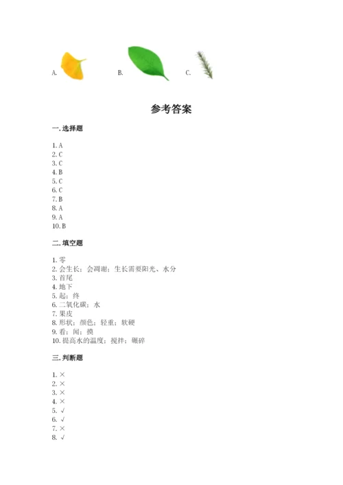 教科版一年级上册科学期末测试卷【必刷】.docx
