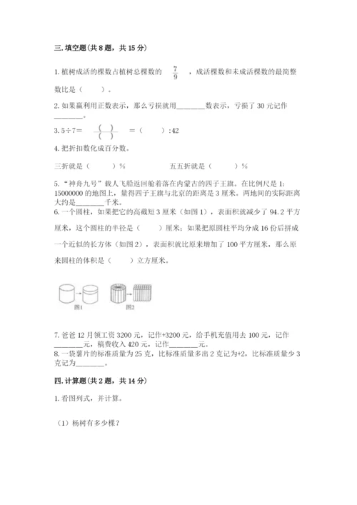 临沧地区小升初数学测试卷完整.docx