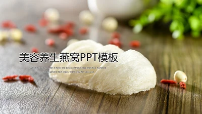 美容养生燕窝PPT模板
