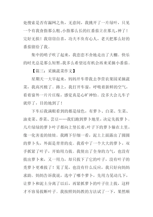 采撷作文00.docx